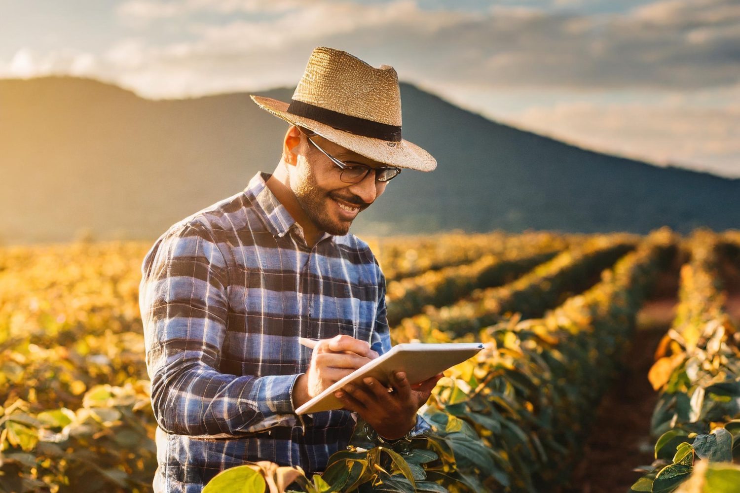 Firefly homem analisando lavoura de soja 66666